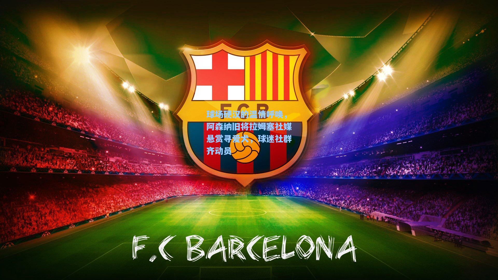 球场硬汉的温情呼唤,阿森纳旧将拉姆塞社媒悬赏寻爱犬,球迷社群齐动员